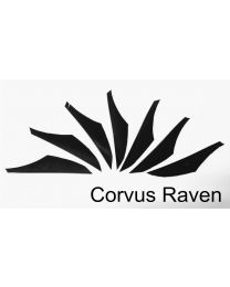Feder gestanzt alle Farben Corvus RAVEN Naturfeder rw
